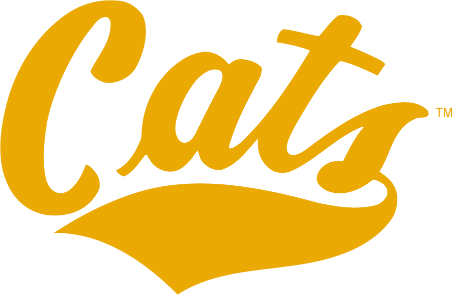 Montana State Bobcats 2006-2013 Wordmark Logo diy iron on heat transfer